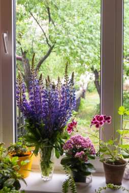 Bahçe zeminli pencere eşiğinde bahar çiçekleri