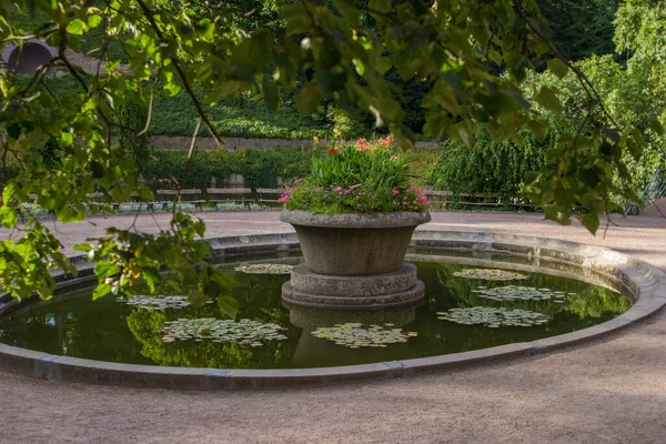 Maceta de piedra de flores se encuentra en el estanque en el parque Sofiyivka —  Fotos de Stock