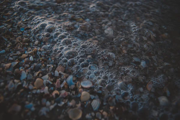 Muszle morskie na plaży z małą falą morską — Zdjęcie stockowe