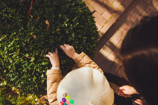 Mała dziewczynka ostrożnie rozważa krzaki z liśćmi w słoneczny jesienny dzień — Zdjęcie stockowe
