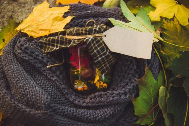 Şişe, sonbahar hazinelerini boş kağıt etiketlerle doldurdu.