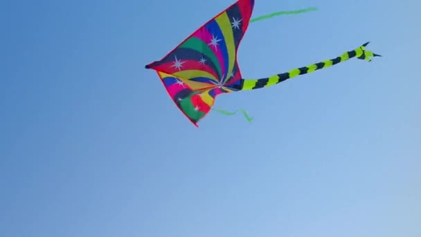 Colored kite against blue sky at sunset — Stock Video