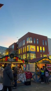 Gdansk, Polonya, 27 Kasım 2025: İnsanlar geceleri bir kasaba meydanında parlak ışıklarla kaplı uzun bir Noel ağacının etrafında toplanıyorlar. Sahne şenlikli ve canlı..