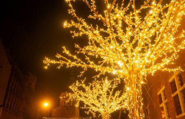 Şehir meydanındaki ağaçlar parlak ışıklarla kaplıdır. Geceleri şenlikli atmosferin tadını çıkarıyorum. Gdansk, Polonya 'da Noel pazarı