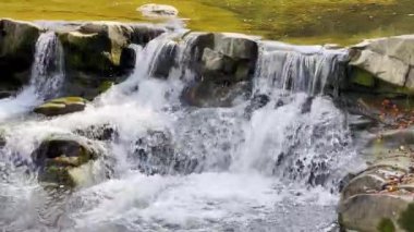Şelale çağlayanı, Sukil nehri, Ukrayna. Atmosferik büyülü şelale Karpatya dağlarındaki derin yeşil ormanlarda.