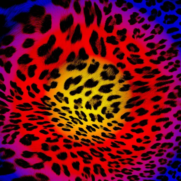 Animal print patterns Royalty Free Vector Image