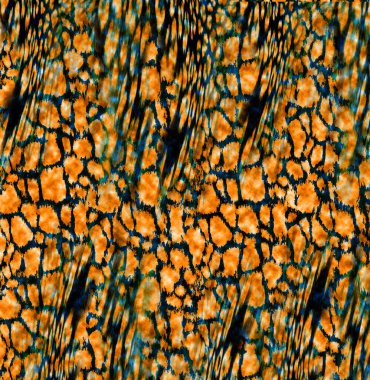 tekstil baskıları, moda kıyafet kalıpları