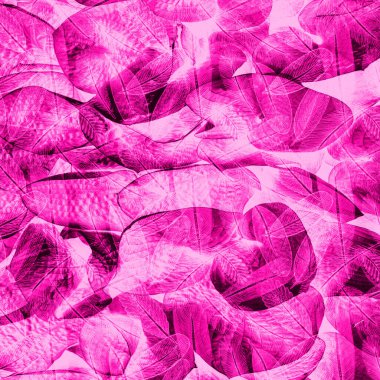 Tekstil kumaş desenleri, moda tasarımları