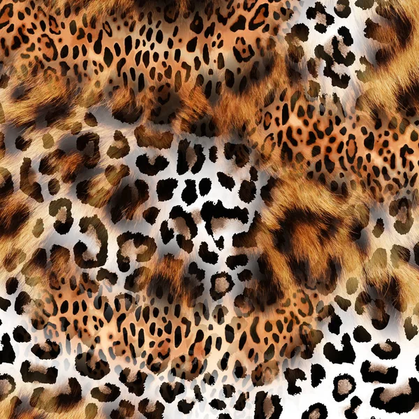 Fashionable Print Abstract Leopard Skin Geometric Shapes — Stock Photo, Image