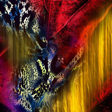 tekstil baskıları, moda kıyafet kalıpları