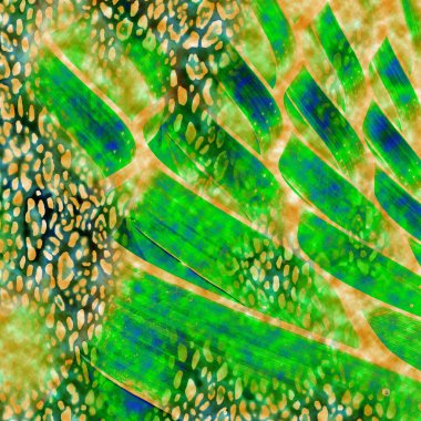 tekstil baskıları, moda kıyafet kalıpları