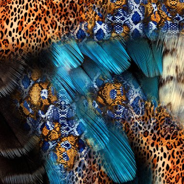 soyut güzel renkli kombinasyon deseni