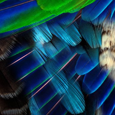 soyut güzel renkli kombinasyon deseni