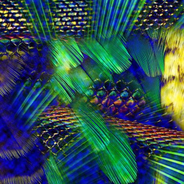 Karışık iz kalıpları, zincirli leopar deseni