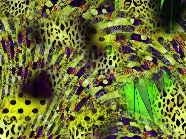 Tekstil moda baskıları, modern kumaş desenleri