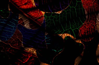 soyut desen, modern tasarım, kumaş baskı deseni, tekstil deseni, dijital baskı deseni, renk izleri, kolaj izleri, tekstil desenleri, soyut, arka plan, model, retro