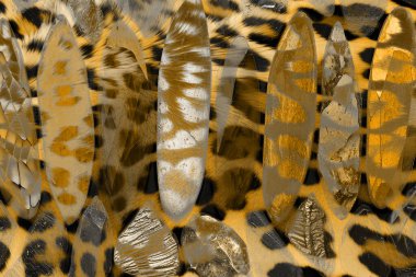 soyut desen, modern tasarım, kumaş baskı deseni, tekstil deseni, dijital baskı deseni, renk izleri, kolaj izleri, tekstil desenleri, soyut, arka plan, model, retro