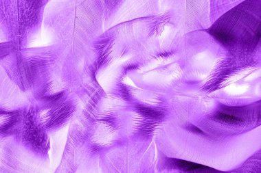 tekstil kumaş baskı tasarımı, siyah arkaplan dokusu, tasarım, yatay fotoğraf, arkaplan soyut, rengarenk manzara, desen, soyut, moda tasarımı baskıları