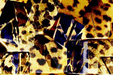 tekstil kumaş baskı tasarımı, siyah arkaplan dokusu, tasarım, yatay fotoğraf, arkaplan soyut, rengarenk manzara, desen, soyut, moda tasarımı baskıları