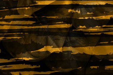 3D, tekstil kumaş baskı tasarımı, siyah arkaplan dokusu, tasarım, yatay fotoğraf, arka plan soyut, çizim, renkli manzara, desen, soyut, moda tasarımı baskıları