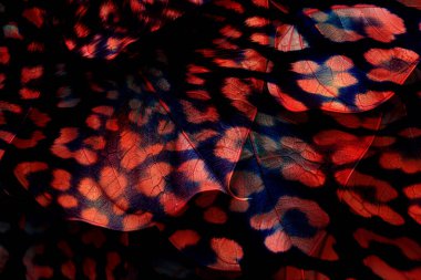 3D, tekstil kumaş baskı tasarımı, siyah arkaplan dokusu, tasarım, yatay fotoğraf, arka plan soyut, çizim, renkli manzara, desen, soyut, moda tasarımı baskıları