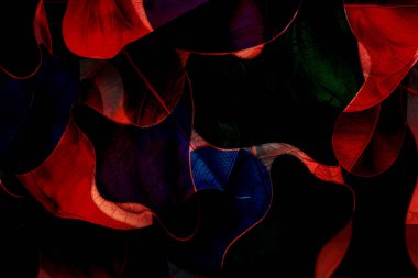 3D, tekstil kumaş baskı tasarımı, siyah arkaplan dokusu, tasarım, yatay fotoğraf, arka plan soyut, çizim, renkli manzara, desen, soyut, moda tasarımı baskıları