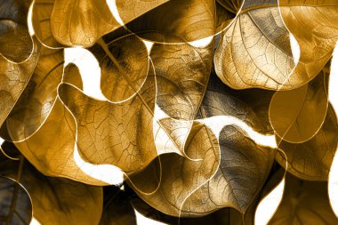 3D, tekstil kumaş baskı tasarımı, siyah arkaplan dokusu, tasarım, yatay fotoğraf, arka plan soyut, çizim, renkli manzara, desen, soyut, moda tasarımı baskıları