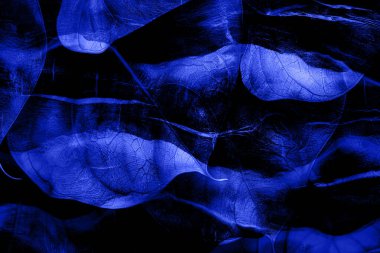 3D, tekstil kumaş baskı tasarımı, siyah arkaplan dokusu, tasarım, yatay fotoğraf, arka plan soyut, çizim, renkli manzara, desen, soyut, moda tasarımı baskıları