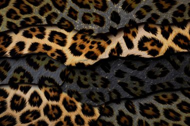 3D, tekstil kumaş baskı tasarımı, siyah arkaplan dokusu, tasarım, yatay fotoğraf, arka plan soyut, çizim, renkli manzara, desen, soyut, moda tasarımı baskıları