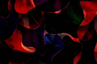 Tasarım için çizgilerin ve dalgaların soyut arka planı, soyut dalga arkaplanı ve desen tasarımı, Yaratıcı Kravat Boyası. Kova boyası. Dirty Art Banner. Tekstil baskısı. Kağıt Grafik Boyalı. Kırsal Fırça, Grafik Boyalı. Tekstil kumaş izleri