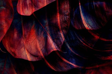 Tasarım için çizgilerin ve dalgaların soyut arka planı, soyut dalga arkaplanı ve desen tasarımı, Yaratıcı Kravat Boyası. Kova boyası. Dirty Art Banner. Tekstil baskısı. Kağıt Grafik Boyalı. Kırsal Fırça, Grafik Boyalı. Tekstil kumaş izleri