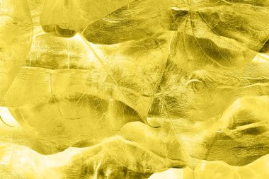 Tasarım için çizgilerin ve dalgaların soyut arka planı, soyut dalga arkaplanı ve desen tasarımı, Yaratıcı Kravat Boyası. Kova boyası. Dirty Art Banner. Tekstil baskısı. Kağıt Grafik Boyalı. Siyah fırça boyası. Rustik Fırça Boyası.