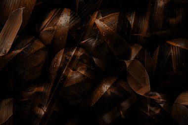 Fraktal illüstrasyon baskıları. Renkli Psikedelik Soyut Desen. Soyut geometrik girdap fraktal.Tie Dye Arkaplan. Dalga deseni. Tekstil kumaş deseni. Modern renk baskısı.