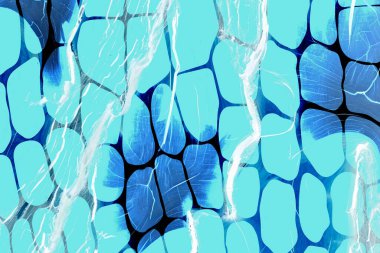 Textile print .Fabric Print Pattern, Cushion Designs, Dress Design, Leopard, Camouflage, Zebra, Baroque and Combination .Surface Pattern Studies and Collage Fashion .Colorful abstract  for  and design.