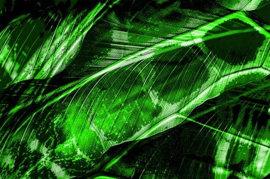 Geometri, doku arka planında tekrarlanıyor. Renkli iş ve tekstil işi. Moda baskısı. Moda ve modaya uygun arka plan. Tekstil baskısı. Kumaş deseni.