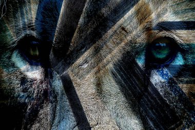 Geometri, doku arka planında tekrarlanıyor. Renkli iş ve tekstil işi. Moda baskısı. Moda ve modaya uygun arka plan. Tekstil baskısı. Kumaş deseni, Psikedelik Soyut Desen. Geometrik girdap fraktal.