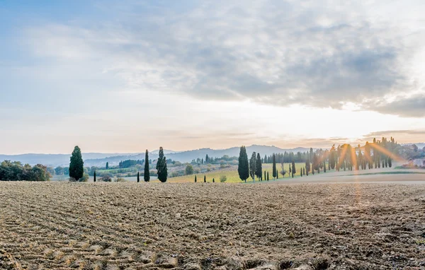 The campaign of Lucignano — Stock Photo, Image