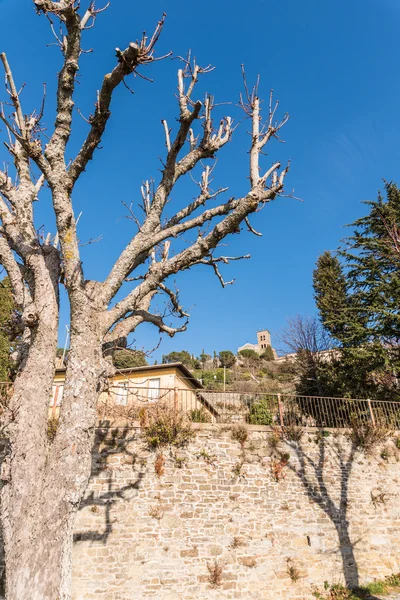 Святилище Санта Маргарита в місті Cortona — стокове фото