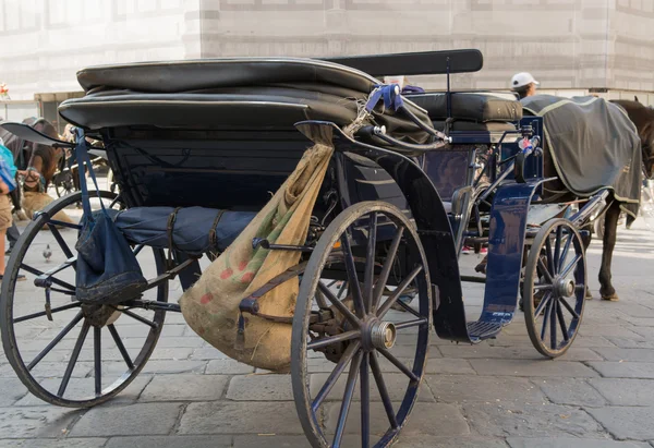 Horse-drawn carriage in Florence — Stock Photo, Image