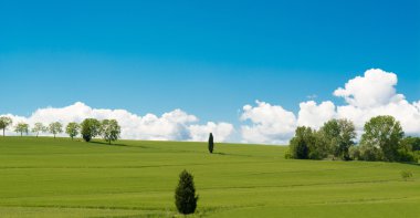 Cortona, Toskana bölgesindeki yeşil kırsal
