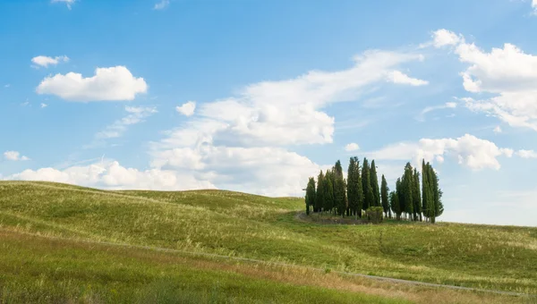 As colinas de Montalcino, uma cidade vinícola, Siena — Fotografia de Stock