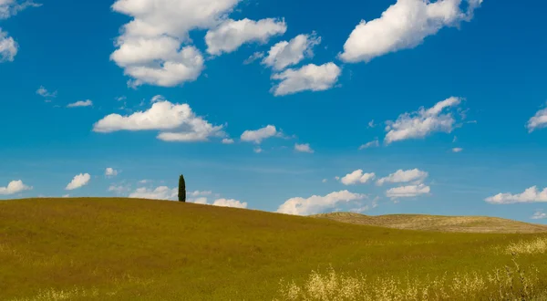As colinas de Montalcino, uma cidade vinícola, Siena — Fotografia de Stock