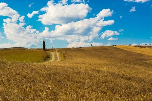 The road of the hills — Stock Photo, Image