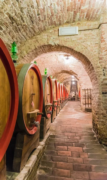 The barrel cellar of Montepulciano red wine — Stock Photo, Image