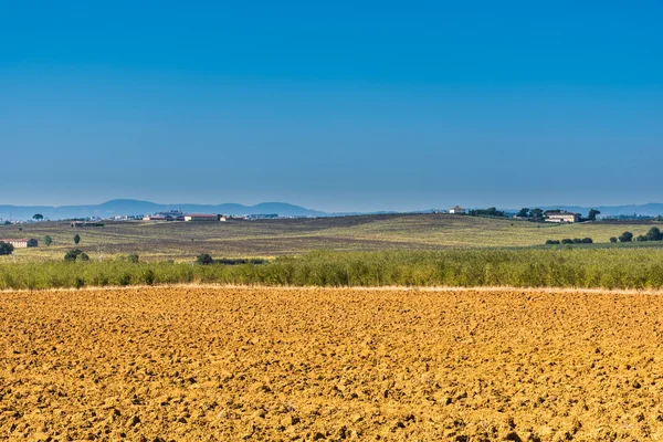 O campo verde em Cortona, Toscana — Fotografia de Stock