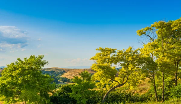 The hills of Montalcino, a wine town, Siena — Stock Photo, Image