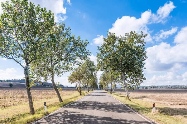 Tuscan kırsalında asfalt yol — Stok fotoğraf