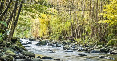 Sonbaharda dağ deresi