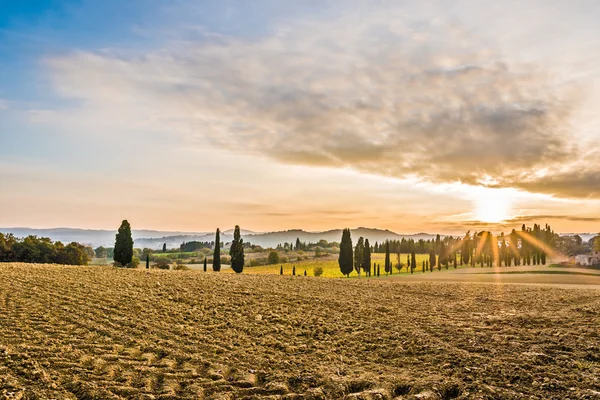 The campaign of Lucignano — Stock Photo, Image