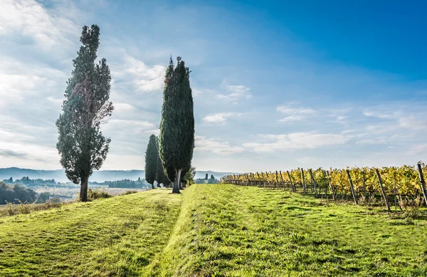 Countryside of Lucignano — Stock Photo, Image